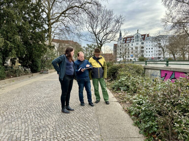 10 Bäu­me feh­len am Bundesplatz